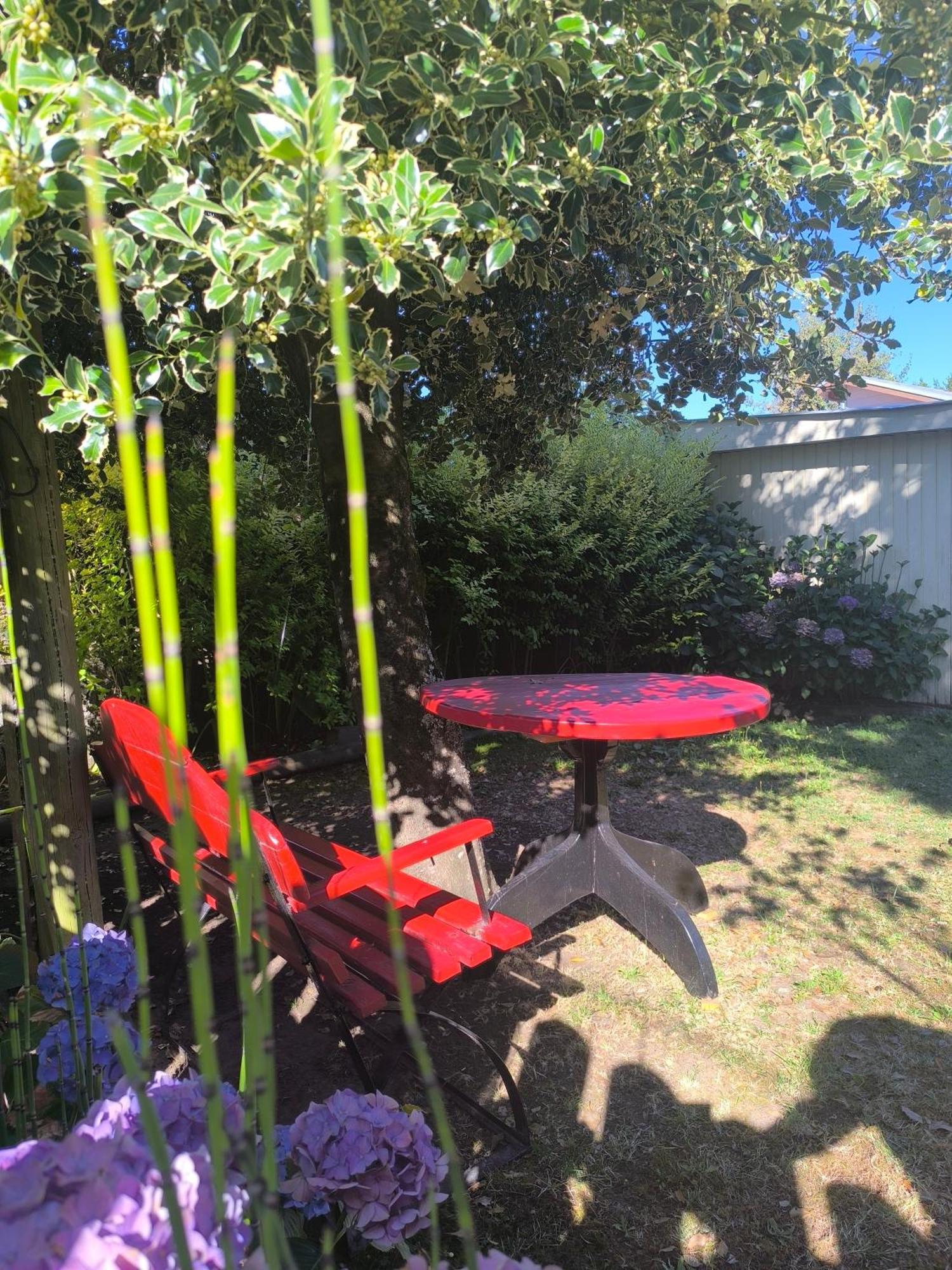 Hosteria Alemana Villarrica Dış mekan fotoğraf